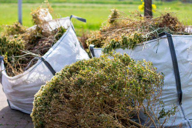 Best Office Junk Removal  in Woodstock, GA